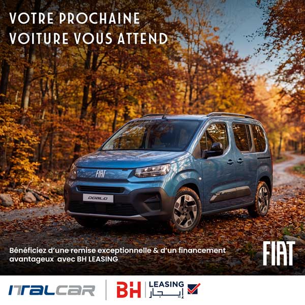 Fiat pro