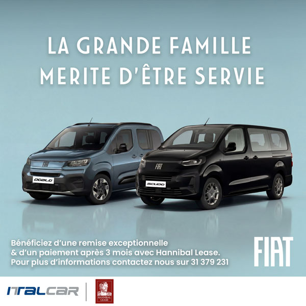 Fiat pro